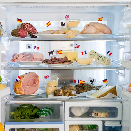El uso de los frigoríficos europeos